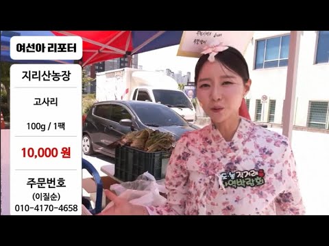 비디오 5