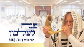 פנה לעלבון | ישיבת אלון מורה (ישיבת ברכת יוסף - אלון מורה) - התמונה מוצגת ישירות מתוך אתר האינטרנט יוטיוב. זכויות היוצרים בתמונה שייכות ליוצרה. קישור קרדיט למקור התוכן נמצא בתוך דף הסרטון