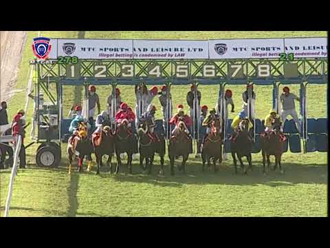 RM27 R8 | Remus | I.Santana