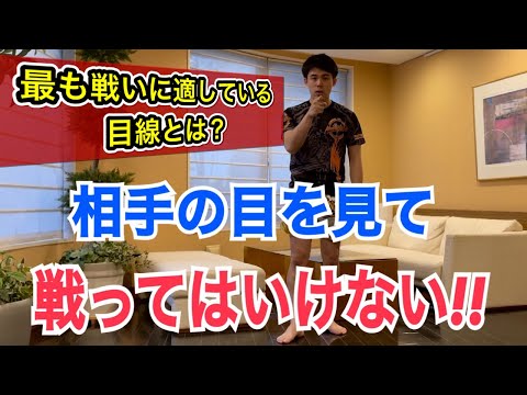 試合やスパーリングでは、相手の目を見て戦ってはいけない！ ~相手のパンチとキック両方が最も見えやすくなる目線のポイント~