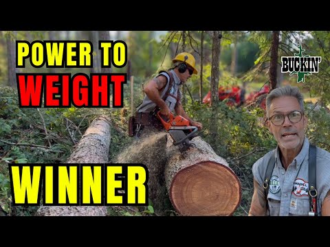 Husqvarna 365 Special on STEROIDS