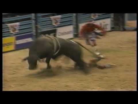 Tropical Depression bucks Chris Shivers - 97 PBR Finals