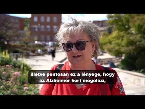 Videó előnézet