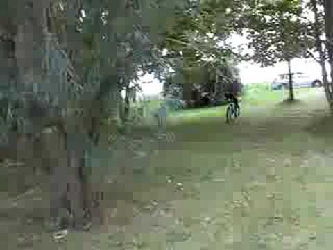 risstissen-bmx-baggersee