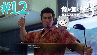 #12 初見実況 犬と龍のプロフェッショナルな沖縄旅行～5泊7日じゃなく365泊[龍が如く極3]