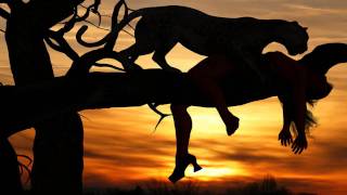 The Glitz - Last Panther (Erphun remix)