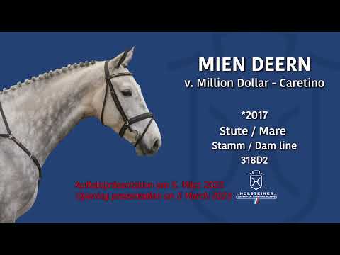 Holsteiner Frühjahrsauktion-Opening | Nr. 114 Mien Deern