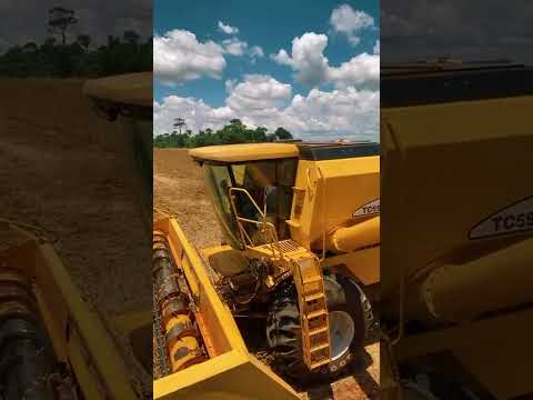 colheita de soja Paraná Terra Roxa