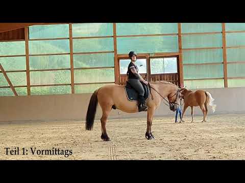 Vaquero Horsemanship Kurs mit Alex Zell 10-07-2021