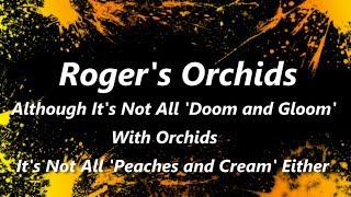 Although It's Not All 'Doom and Gloom' With Orchids Its Not All 'Peaches and Cream' Either