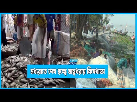 মধ্যরাতে শেষ হচ্ছে মাছধরায় নিষেধাজ্ঞা
