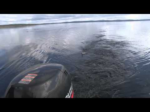 Saarimenu ála Salla