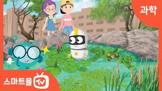 [4학년ㅣ과학] 강과 연못에서 사는 식물의 특징 조사하기 ㅣ4학년 2학기 1. 식물의 생활 (2)