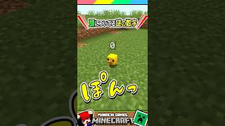 頭についてる謎の数字って… #マイクラ #マインクラフト #Minecraft