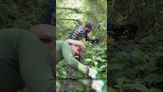 Sem Palavras - Paramos tudo depois de Encontrar tudo Isso no meio da Floresta - parte 1