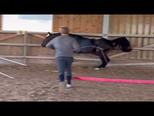 ✨ Maybe Manathis ✨