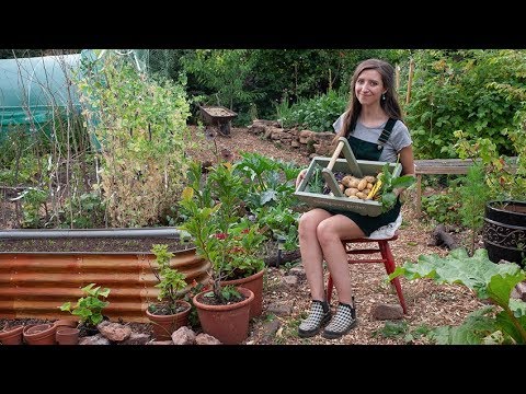 July Allotment Garden Tour + Food Harvest!