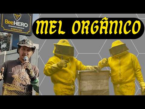 MEL ORGÂNICO. LOGO SERÁ A RAINHA DO MEL    RIQUEZAS DE ALTÔNIA PR BEEHERO