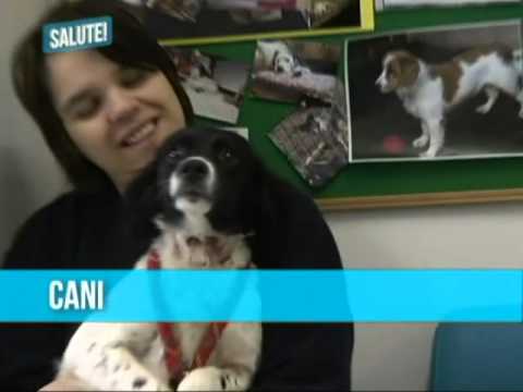 Sommario ventottesima puntata anno 2012-13