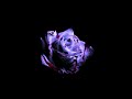 Romantic Homicide Stacked TikTok Version