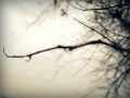 Bonobo - Heaven For The Sinner (Instrumental ...