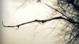 Bonobo - Heaven For The Sinner (Instrumental)