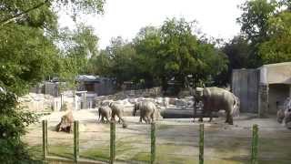 preview picture of video 'Zoo Osnabrück'