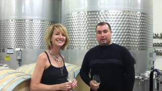 Stephanie Schlatter Art at Black Star Farms - On the Michigan Wine Trail