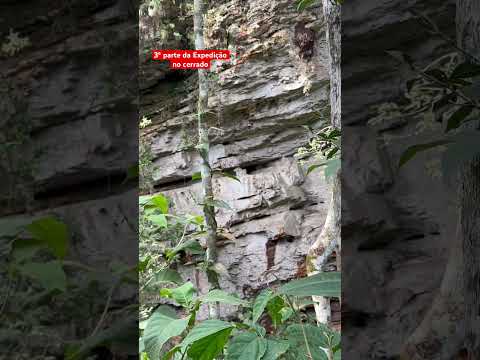 Parte final da Expedição no cerrado de Cidade Ocidental GO