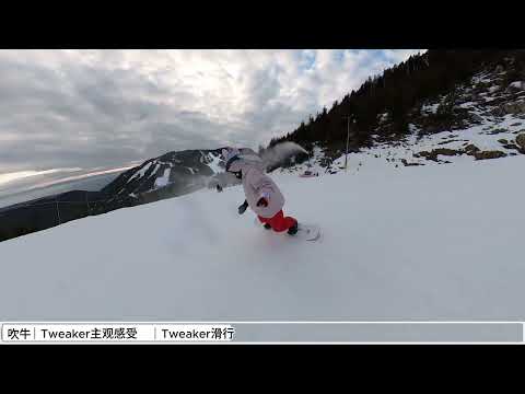 24/25 Jones Tweaker VS Rally Cat抢先评测