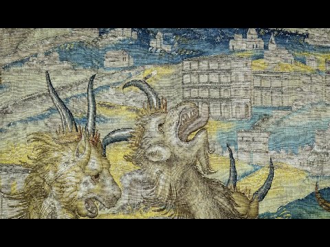 Vídeo exposición \