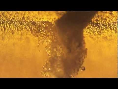 Duvel - The brewing process