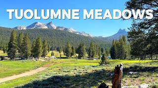 Tuolumne Meadows Yosemite Guide | High Country Views You MUST See