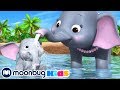 5 Elefanten waschen sich | Kinderlieder und Cartoons | Little Baby Bum | Moonbug Kids Deutsch