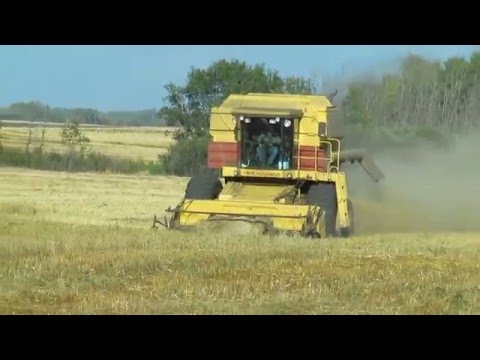 New Holland Tr98 combine Unloading watching a TR96 Harvest