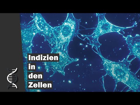 Schöpfungsindizien in lebenden Zellen | Dr. Boris Schmidtgall