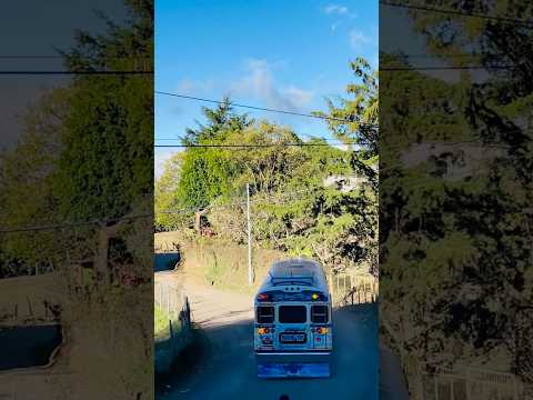 Bus Ruta 509 A 🚐 #losplane #miramundo #sanignacio #lapalma #busesnorteños #riochiquito#chalatenango
