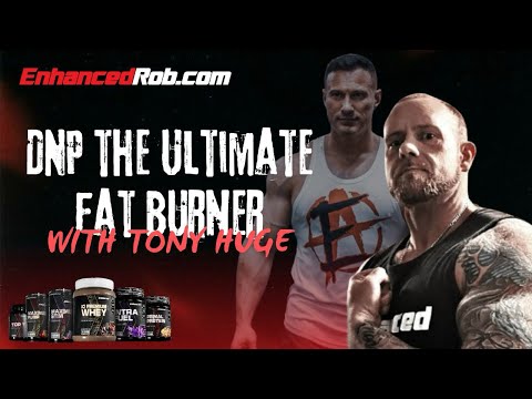 DNP the ultimate fat burner with @TonyHuge.Fatloss