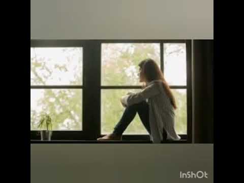 VOLVEREMOS A BRINDAR  -dias grises -LUCIA GIL