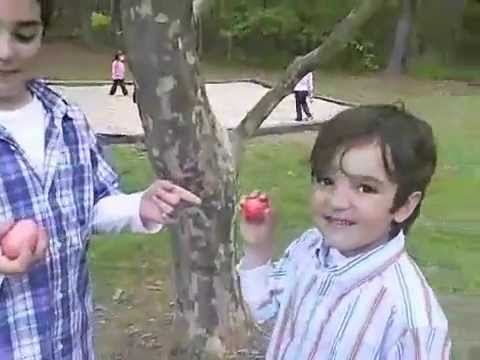 Greek Easter Egg Fight or Tsougrisma (Tσούγκρισμα)