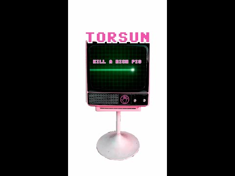 Torsun - Kill A Rich Pig (From the EP TBC-Experience - recorded in 1997)
