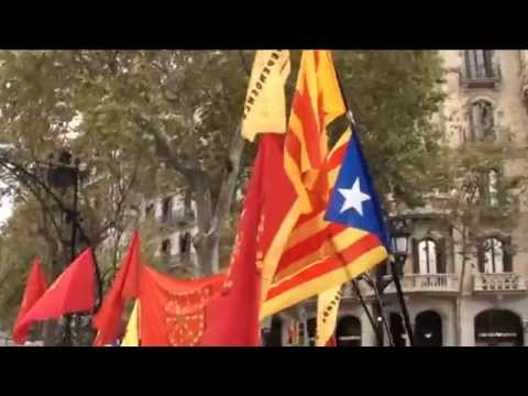 Els independentistes Navarresos amb Catalunya.
