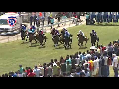 RM33 R1 - Le Clos / Stock Broker