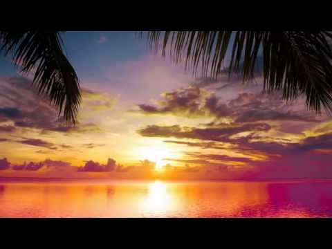 Dan Stone - Orinoco (Original Mix) ASOT 664