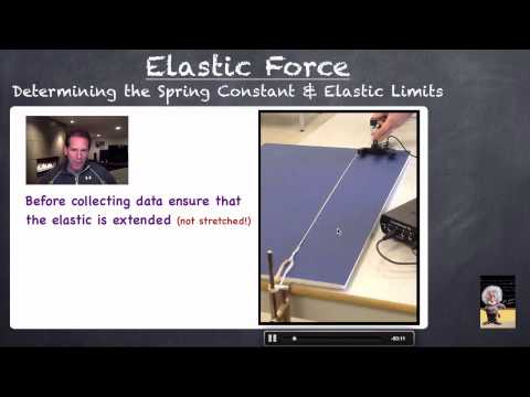 Elastic Forces (Lab Reference)
