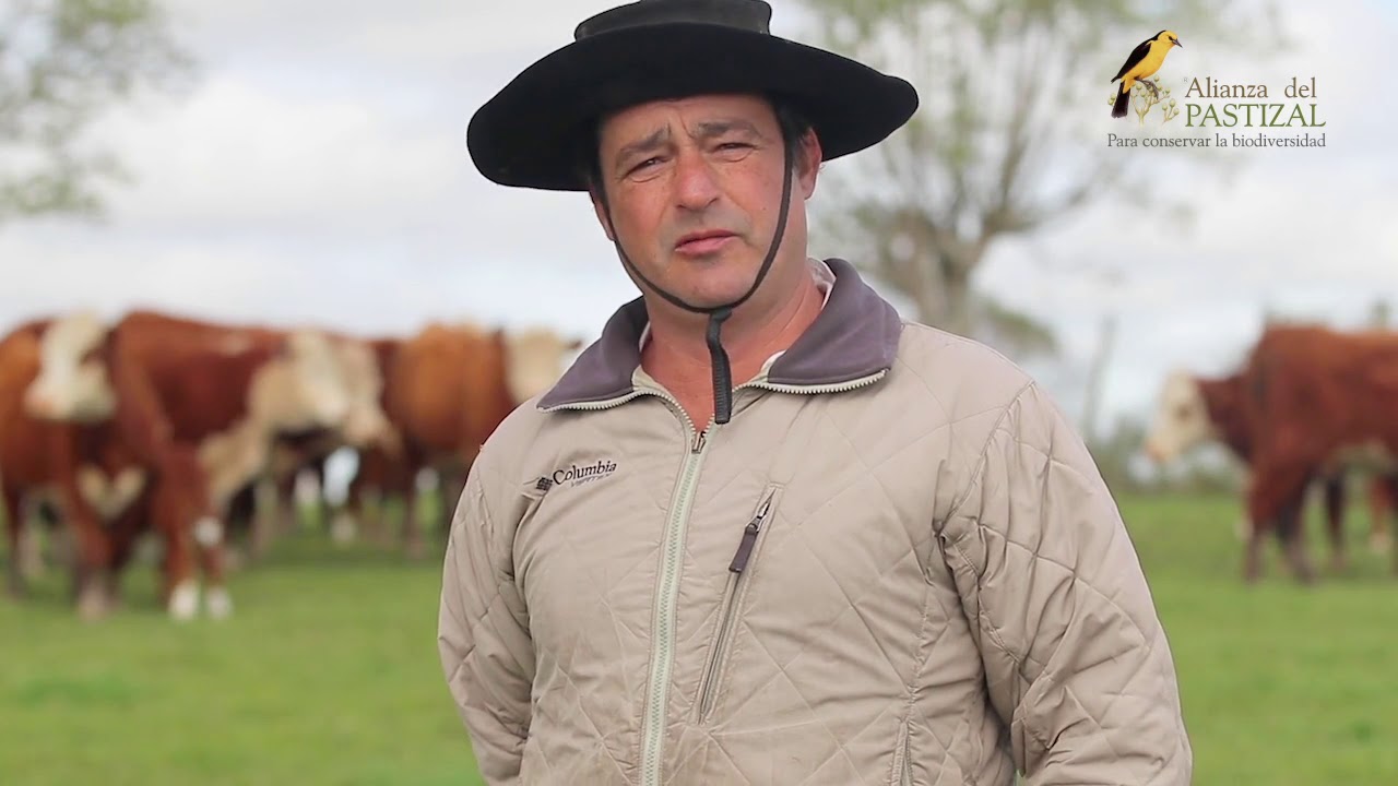 Alianza del Pastizal - Melhoramento de Campo Nativo 2019/2020