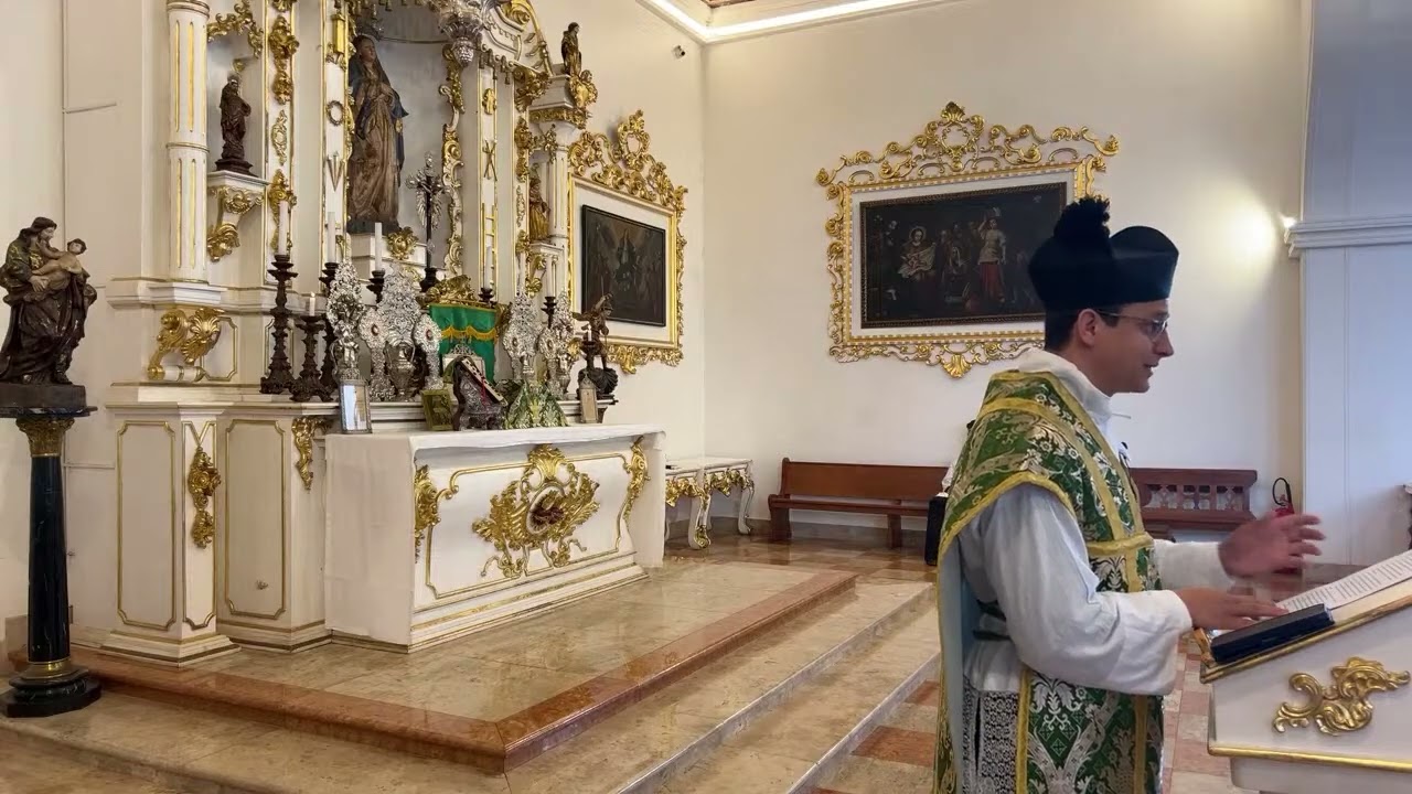 [Sermão] Trigo e joio, qualidades e defeitos