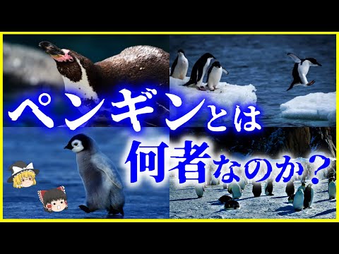 IUCN分類における絶滅の危険性を示す図。