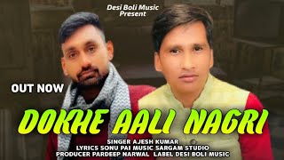 Dokhe Aali Nagri song artwork