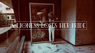 A Lioness Loses Her Pride Music Video